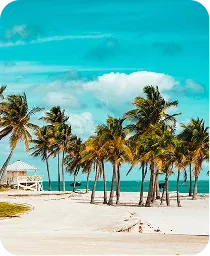 A palm-lined Southwest Florida beach